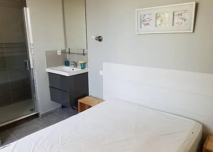 T2 Gautier Proche Cite Medievale Parking Prive Carcassonne